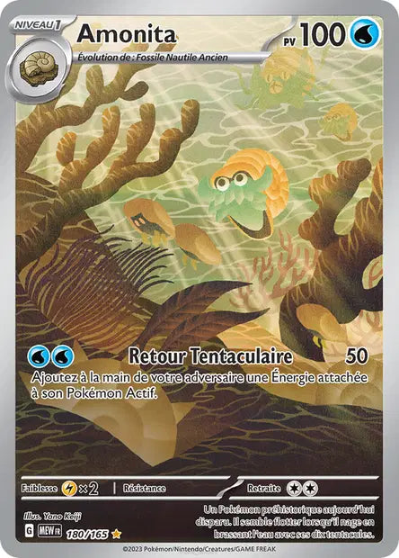 Amonita - 180/165 - 151 - FR