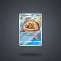 Bidoof AR 200/172 - fond studio